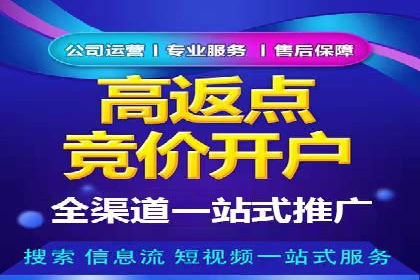 百度推广费用策略在竞争激烈市场的应用案例
